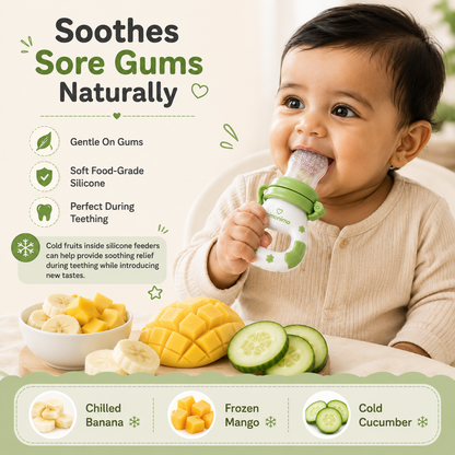 FreshBite™ Fruit Feeder for 6+ Month Baby